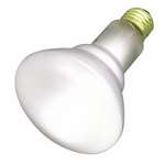 30W R20 Reflect Medium Base 130 Volts Frosted