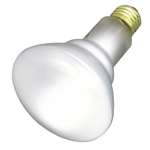 50 Watts R30 Medium Clear 120 Volts Lamp
