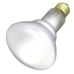 65 Watts BR30 Medium Reflect 130 Volts Lamp