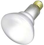 65 Watts BR30 Flood Medium 130 Volts Frosted