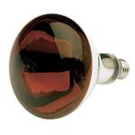 250R40HR Tf Shatter Proof-red