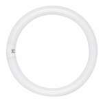 32 Watts T9 Circline Cool White Fluorescent