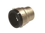 Lead Law Compliant 2 *shark End Cap