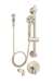 Neo ADA Hand Held Tub and Shower With Grab Bar