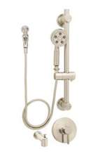 Neo ADA Hand Held Tub and Shower With Grab Bar