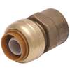 Lead Law Compliant 3/4 X 1/2 FNPT *shark Reducer Connector