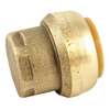 Lead Law Compliant 1 *shark End ST