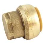 Lead Law Compliant 1 *shark End ST
