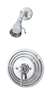 2.5 Gallons Per Minute Commercial Shower Valve With Stops *TEMPTR
