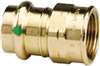 Lead Law Compliant 1-1/2 X 1-1/2 Bronze PXF Adapter