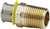Lead Law Compliant 3/4 X 3/4 BRZ PEX Pressure Straight Adapter