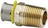 Lead Law Compliant 3/4 X 3/4 BRZ PEX Pressure Straight Adapter