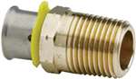 Lead Law Compliant 2 X 2 BRZ PEX Pressure Straight Adapter