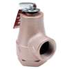 Not For Potable Use 3/4 30# Water Pressure Relief Valve