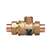 Not For Potable Use 3/4 Dual Check With ATMOS Vent Backflow Preventer