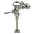 .5 Gallon Urinal Flush Valve
