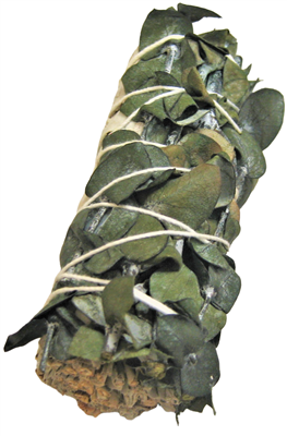 MIX - White Sage with Green Eucalyptus Smudge Sticks 4" (Single)