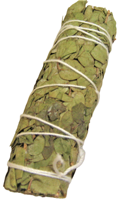 MIX - Baby Eucalyptus Smudge Sticks 4" (Single)