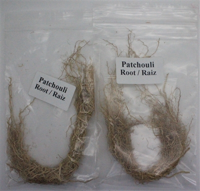 Patchouli Roots (Raiz de Patchouli) - 1 Piece