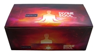 Nandita Divine Soul Incense Sticks 15 Grams (12/Box)
