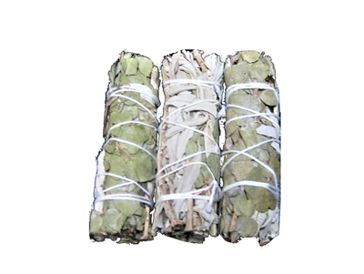 MIX - White Sage with Eucalyptus Smudge Stick 4" (Single)