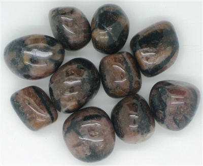 Tumbled Chiastolite Stones - 1 Pound