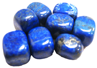Tumbled Blue Lapis Stones - 1 Pound