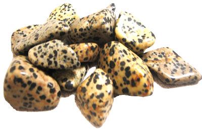 Tumbled Dalmatian Jasper Stones - 1 Pound