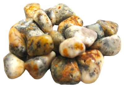 Tumbled Dendrite Stones - 1 Pound