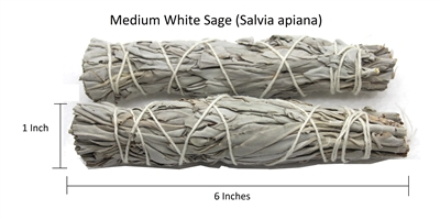 White Sage Smudge medium