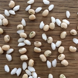 LOCAL, CHEMICAL FREE, GLUTEN-FREE, ancient grain, anson mills, carolina grown, heirloom grain, home delivery, raleigh, durham, chapel hill, winston salem, triad, triangle, vegan, sea island red peas, heirloom field peas