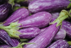 Eggplant, Fairytale ~ 1 lb