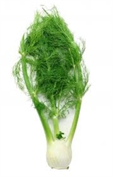 Fennel  ~ 1 bulb