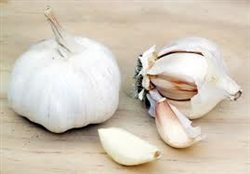 Fresh Garlic Bulbs (2/order)