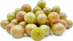 Grapes, Bronze Muscadine ~ 1 quart