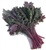 Kale, Red Russian ~ 1 bunch