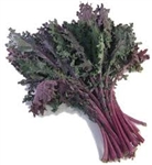 Kale, Red Russian ~ 1 bunch
