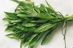 Tarragon ~ 1 oz