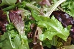 Lettuce, Mesclun Mix ~ 5oz