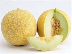 Melon, Arava Green Flesh (1/order)