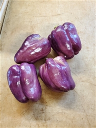 Bell Peppers, Purple ~ 1 lb