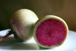 Radish, Watermelon (no tops) ~ 1 lb