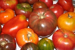 Tomatoes (For Saucing/Canning) ~ 25 lb box