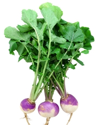 Turnips, Purple (with tops) ~ 1 bunch