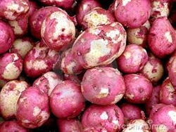 Potatoes, New Red with Fresh Skins ~ 1 lb