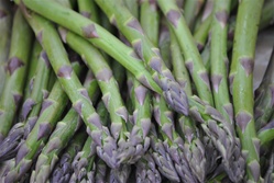 Asparagus ~ 1 bunch