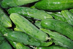 Cucumbers, Slicing (2/order)
