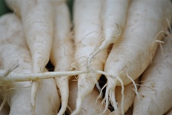 Radish, Daikon (no tops) ~ 1 lb