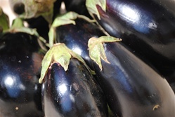 Eggplant, Globe - 1 medium