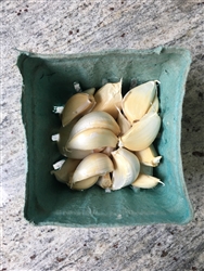 Garlic Cloves ~ 4oz